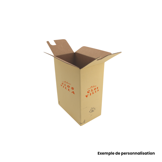 Kit Bag-in-Box 3 Litres - Carton + Sac + Robinet Pour Vin Jus Huile - Lot De 30