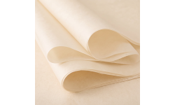 Lot 480 feuilles papier de soie CHAMPAGNE 50x70 zoom